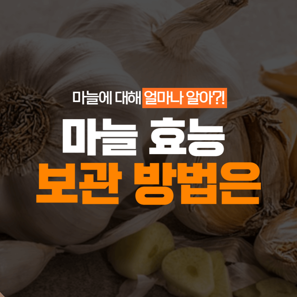  마늘 효능 전에 마늘은 우리의 주방에서 빠질 수 없는 맛있는 식재료이자 건강에도 좋은 보약입니다. 그런데 마늘에 대해서 얼마나 알고 계십니까? 마늘의 효능은 무엇이고, 어떻게 보관하고, 장아찌로 담그는 방법은 무엇일까요?