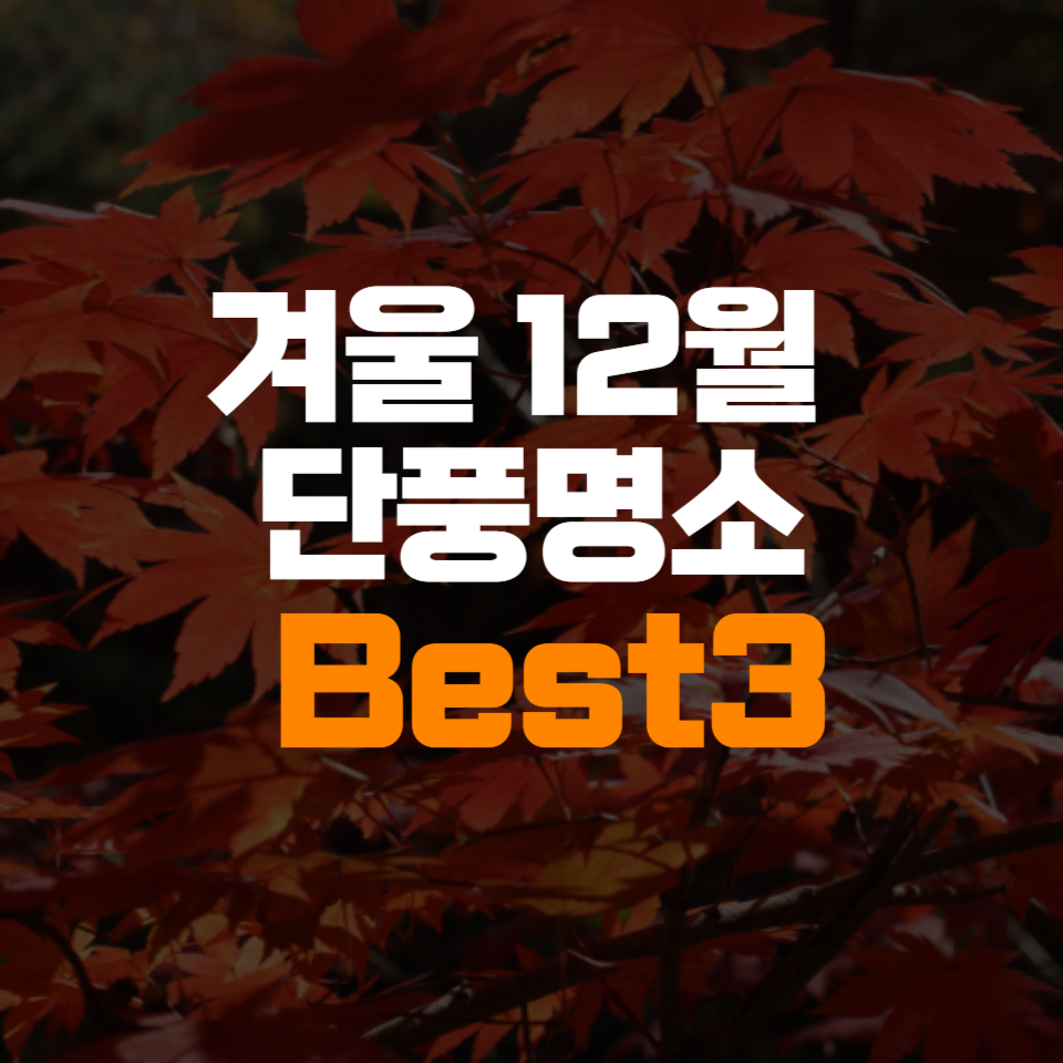 겨울 12월 단풍명소 best3